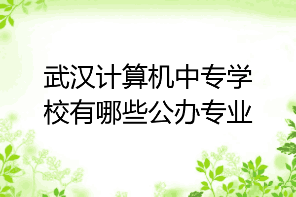 武汉计算机中专学校有哪些公办专业