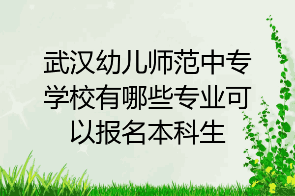武汉幼儿师范中专学校有哪些专业可以报名本科生