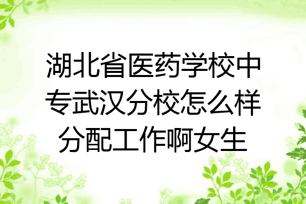 湖北省医药学校中专武汉分校怎么样分配工作啊女生