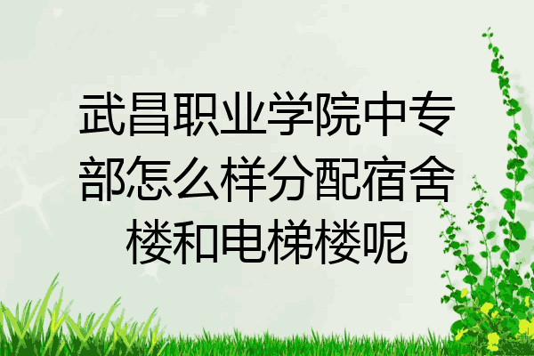武昌职业学院中专部怎么样分配宿舍楼和电梯楼呢