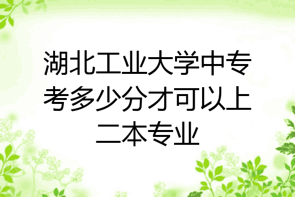 湖北工业大学中专考多少分才可以上二本专业