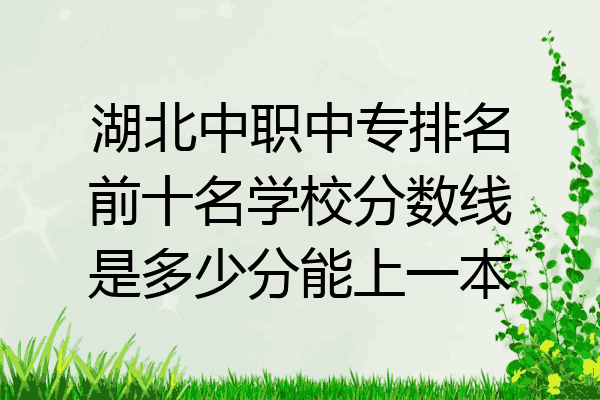 湖北中职中专排名前十名学校分数线是多少分能上一本