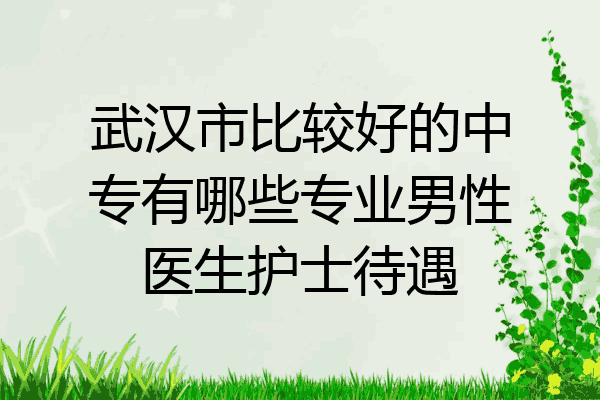 武汉市比较好的中专有哪些专业男性医生护士待遇