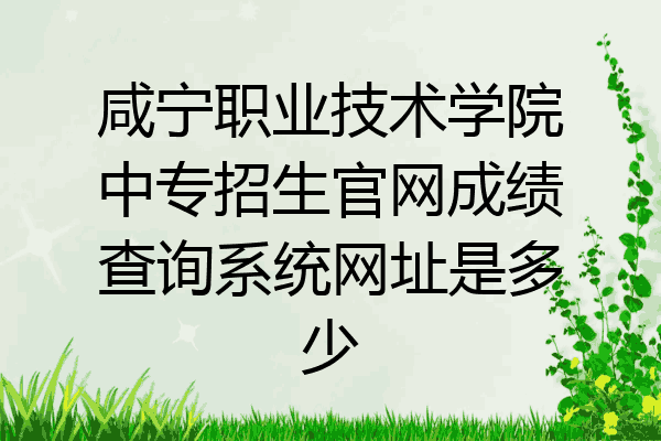 咸宁职业技术学院中专招生官网成绩查询系统网址是多少