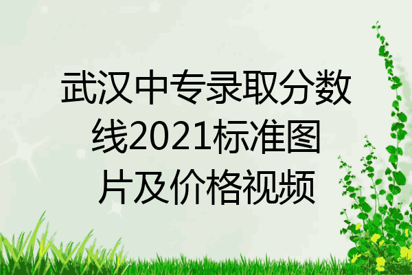 武汉中专录取分数线2021标准图片及价格视频