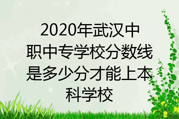 2020年武汉中职中专学校分数线是多少分才能上本科学校