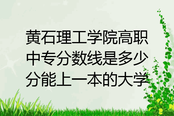 黄石理工学院高职中专分数线是多少分能上一本的大学