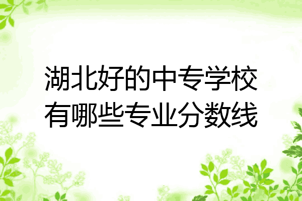 湖北好的中专学校有哪些专业分数线