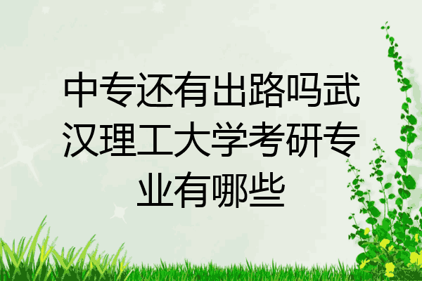 中专还有出路吗武汉理工大学考研专业有哪些