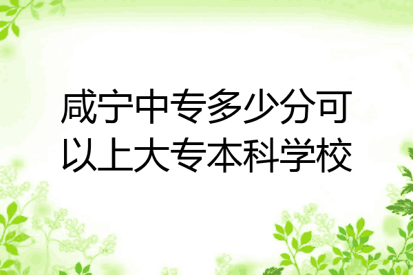 咸宁中专多少分可以上大专本科学校