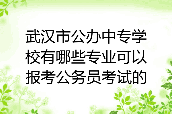 武汉市公办中专学校有哪些专业可以报考公务员考试的