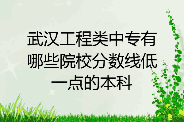 武汉工程类中专有哪些院校分数线低一点的本科