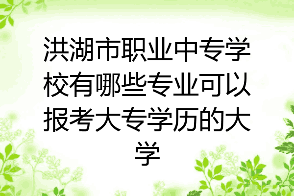洪湖市职业中专学校有哪些专业可以报考大专学历的大学