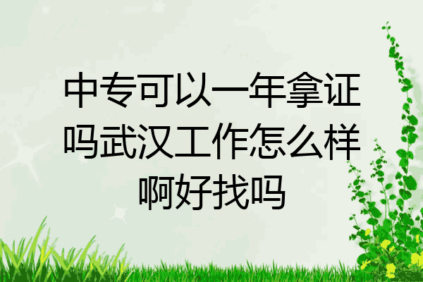 中专可以一年拿证吗武汉工作怎么样啊好找吗
