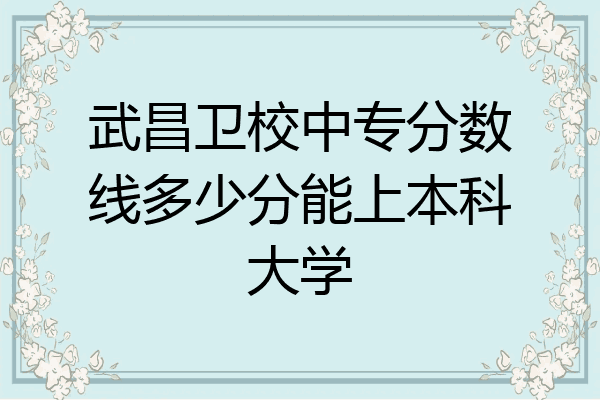 武昌卫校中专分数线多少分能上本科大学