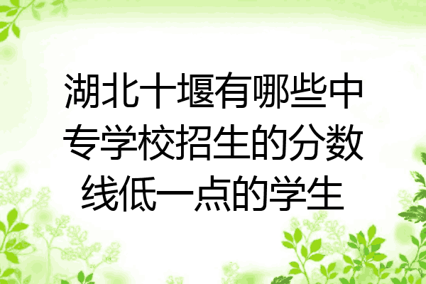 湖北十堰有哪些中专学校招生的分数线低一点的学生