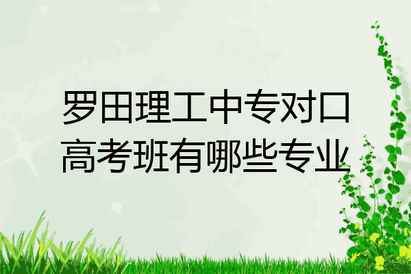 罗田理工中专对口高考班有哪些专业