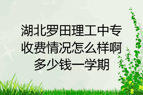 湖北罗田理工中专收费情况怎么样啊多少钱一学期