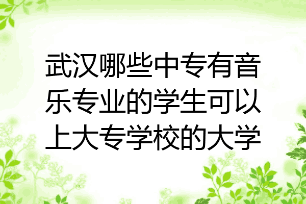 武汉哪些中专有音乐专业的学生可以上大专学校的大学