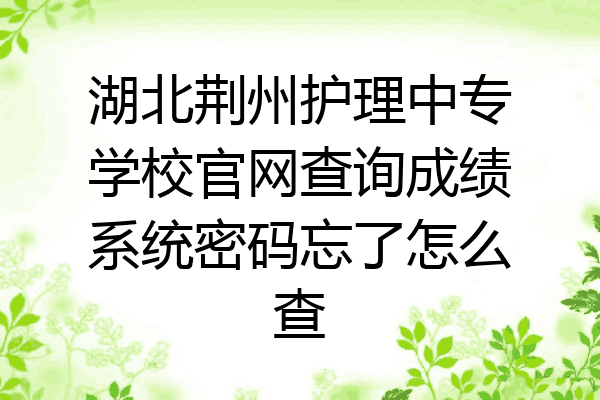 湖北荆州护理中专学校官网查询成绩系统密码忘了怎么查