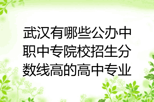 武汉有哪些公办中职中专院校招生分数线高的高中专业