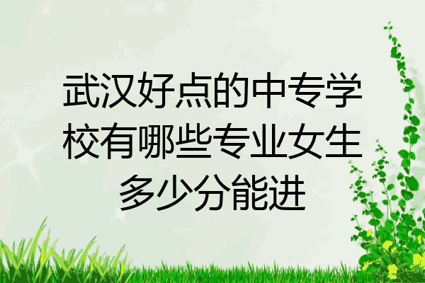 武汉好点的中专学校有哪些专业女生多少分能进
