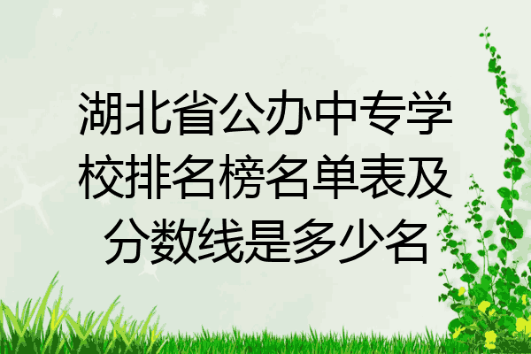 湖北省公办中专学校排名榜名单表及分数线是多少名