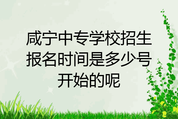 咸宁中专学校招生报名时间是多少号开始的呢