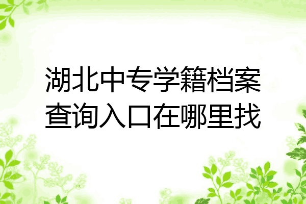 湖北中专学籍档案查询入口在哪里找