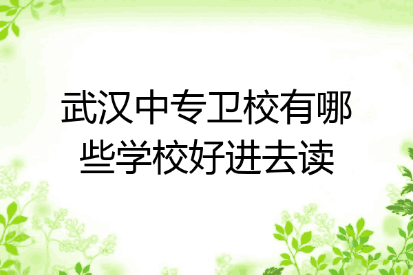 武汉中专卫校有哪些学校好进去读