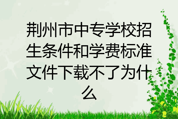 荆州市中专学校招生条件和学费标准文件下载不了为什么