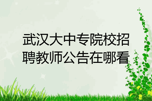 武汉大中专院校招聘教师公告在哪看