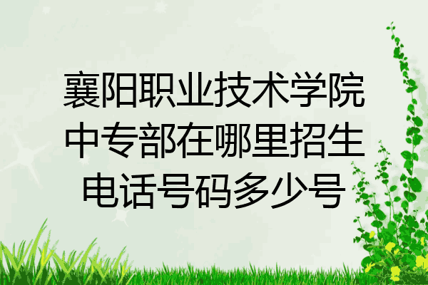 襄阳职业技术学院中专部在哪里招生电话号码多少号