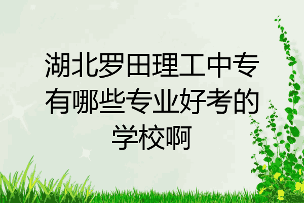 湖北罗田理工中专有哪些专业好考的学校啊