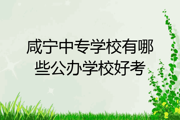 咸宁中专学校有哪些公办学校好考
