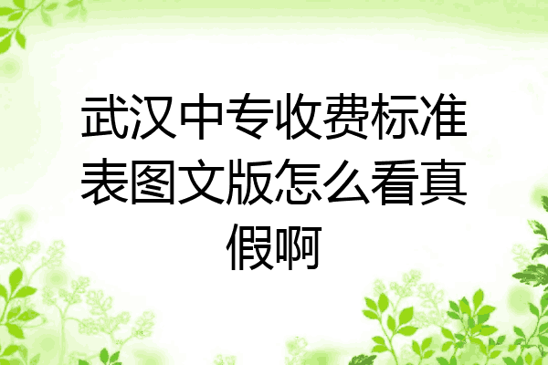 武汉中专收费标准表图文版怎么看真假啊