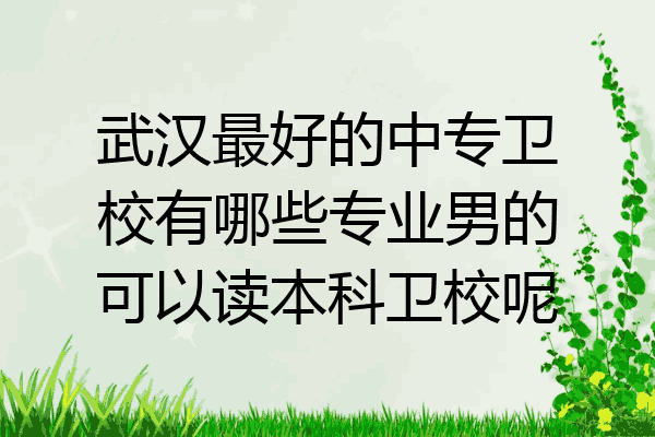 武汉最好的中专卫校有哪些专业男的可以读本科卫校呢