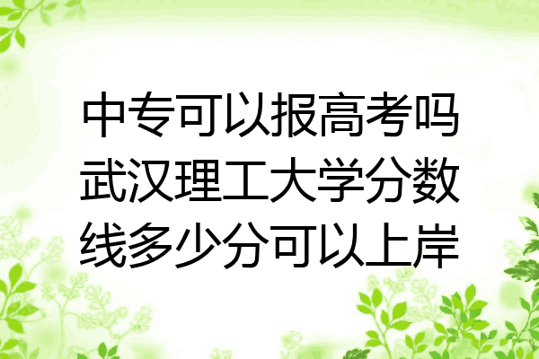中专可以报高考吗武汉理工大学分数线多少分可以上岸