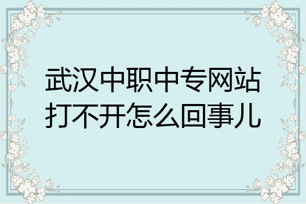 武汉中职中专网站打不开怎么回事儿