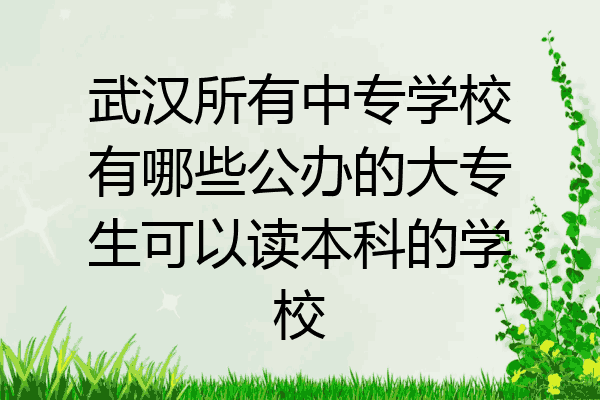 武汉所有中专学校有哪些公办的大专生可以读本科的学校