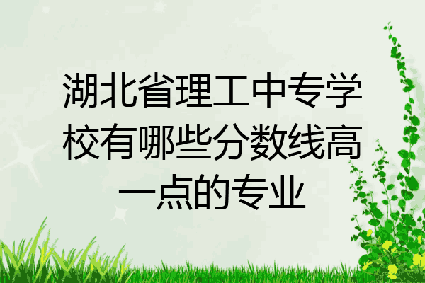 湖北省理工中专学校有哪些分数线高一点的专业