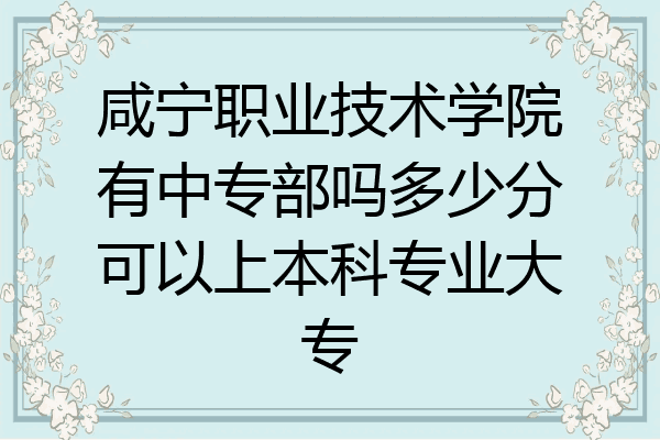 咸宁职业技术学院有中专部吗多少分可以上本科专业大专