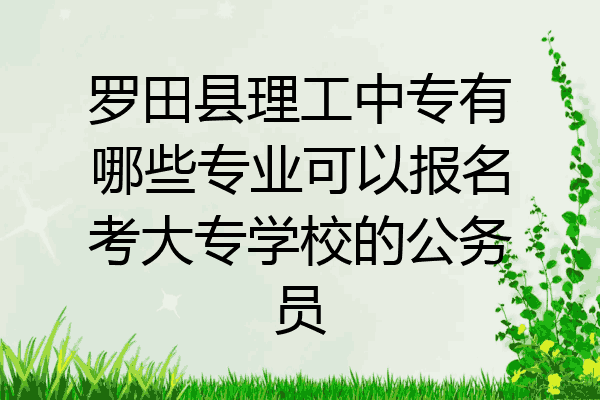 罗田县理工中专有哪些专业可以报名考大专学校的公务员
