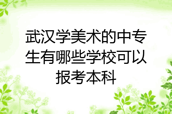 武汉学美术的中专生有哪些学校可以报考本科