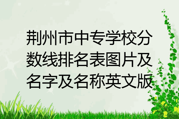 荆州市中专学校分数线排名表图片及名字及名称英文版