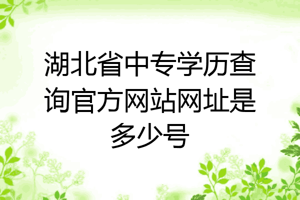 湖北省中专学历查询官方网站网址是多少号