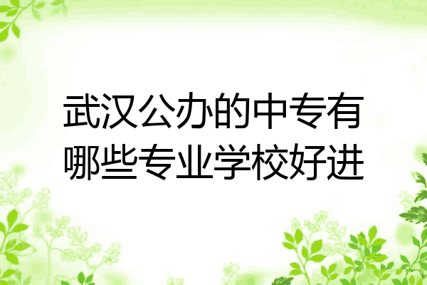 武汉公办的中专有哪些专业学校好进