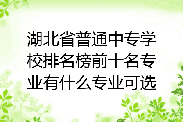 湖北省普通中专学校排名榜前十名专业有什么专业可选
