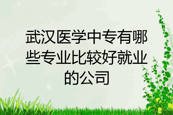 武汉医学中专有哪些专业比较好就业的公司