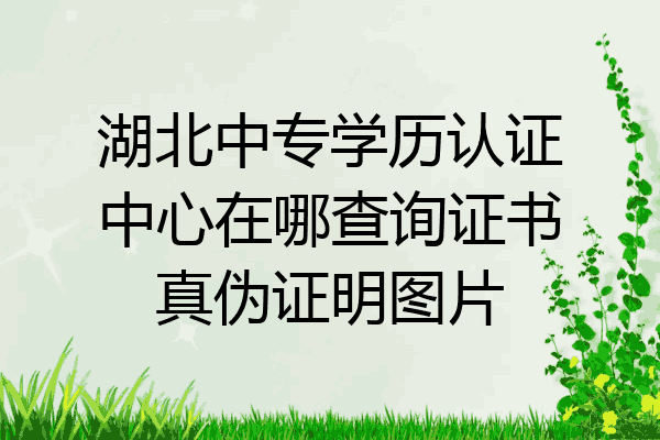 湖北中专学历认证中心在哪查询证书真伪证明图片